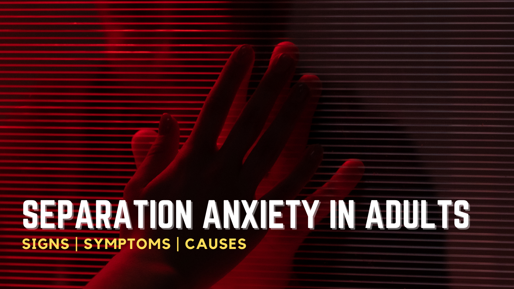 10 Facts About Separation Anxiety in Adults & Everything Else You Need To Know